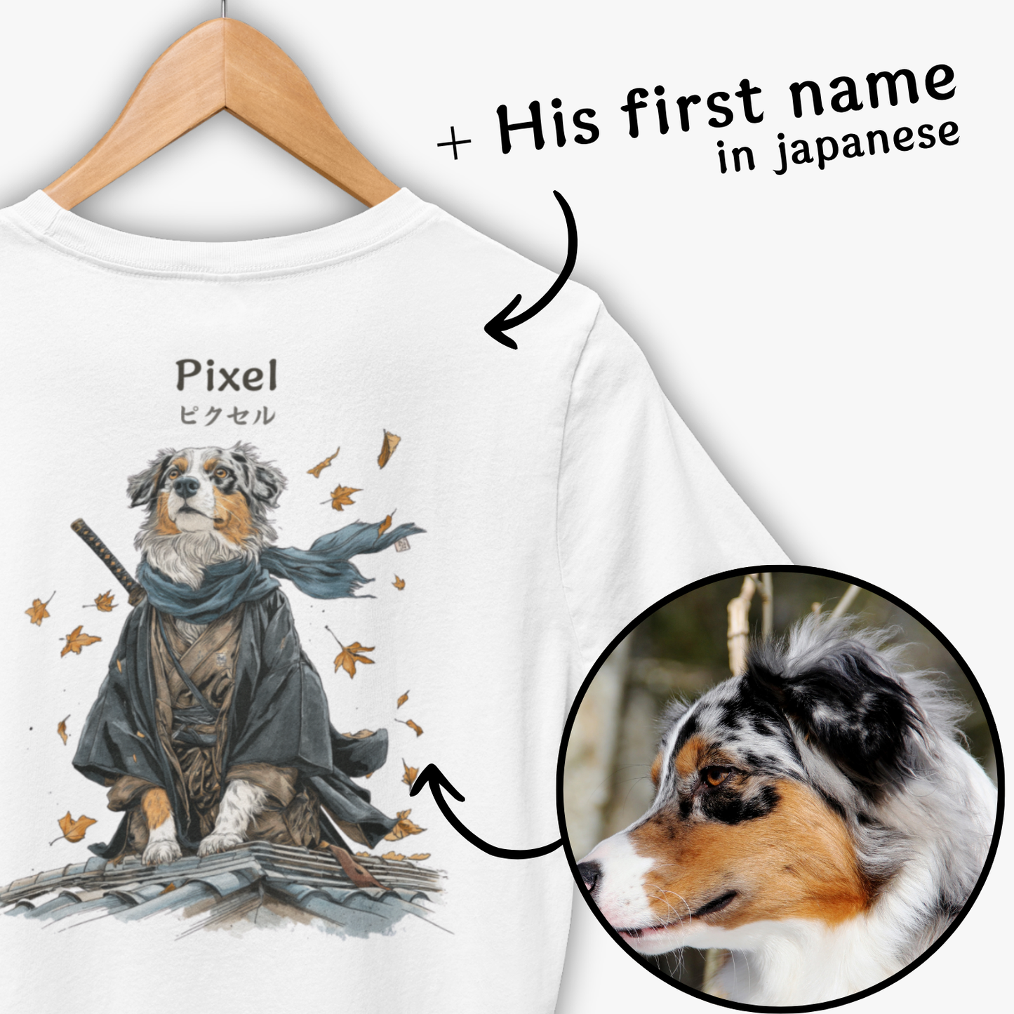 Pets in senshi