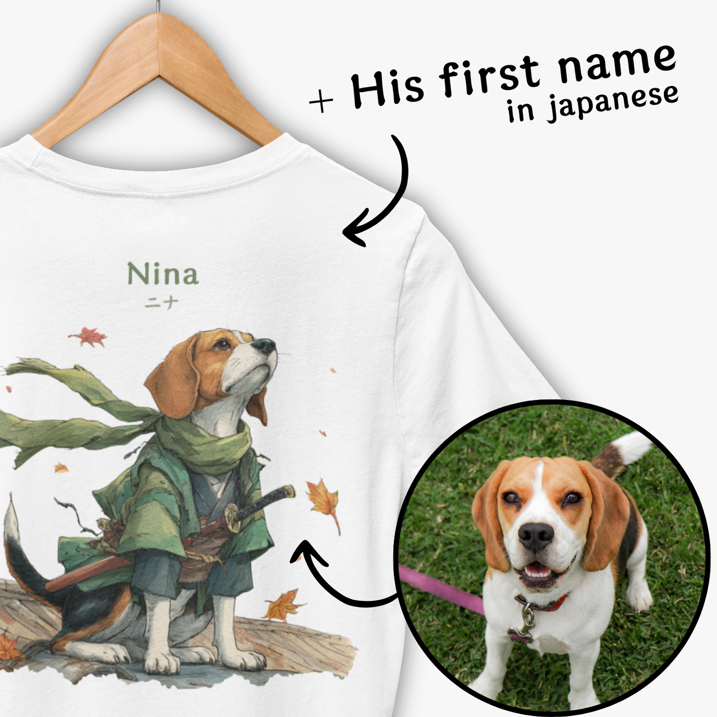 Pets in senshi