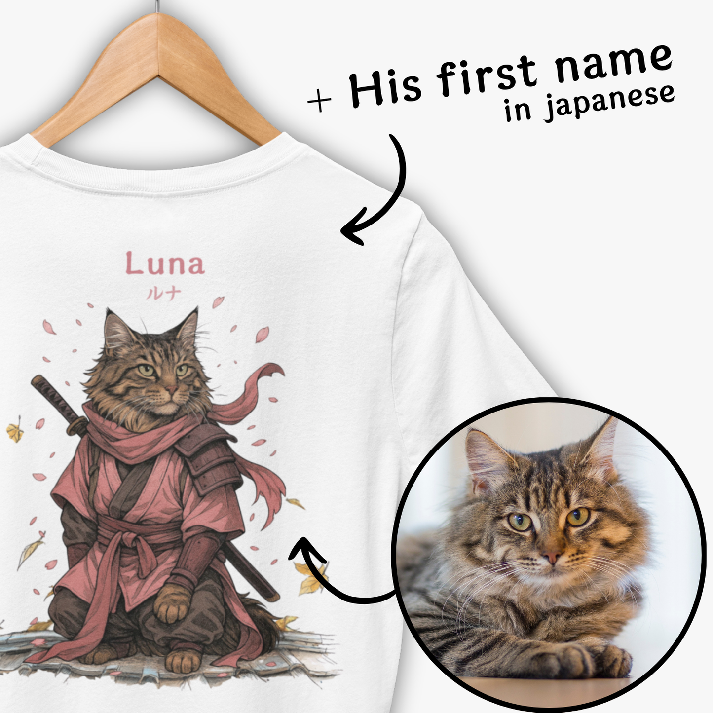Pets in senshi