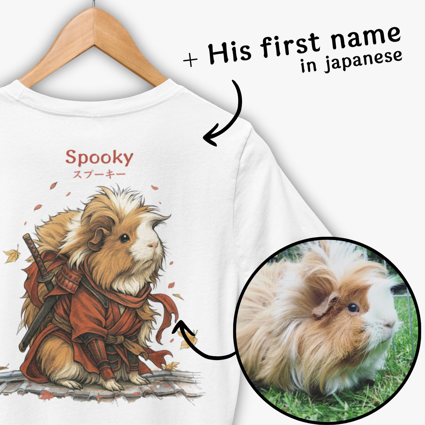Pets in senshi